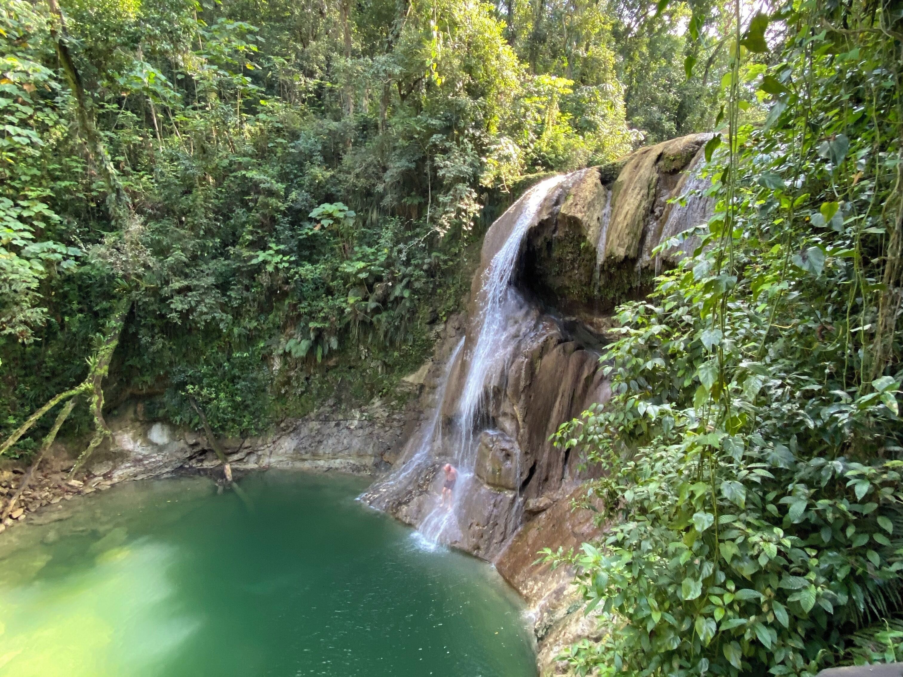 A waterfall cascading into a green pool surrounded by dense forest.