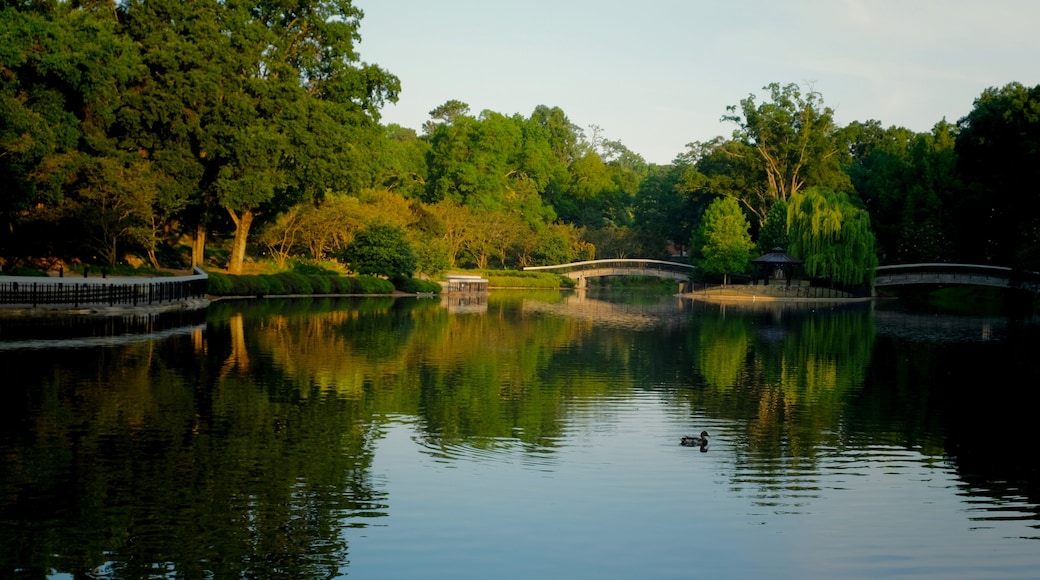 The lake at Pullen Park in downtown Raleigh North Carolina in the early morning sunshine