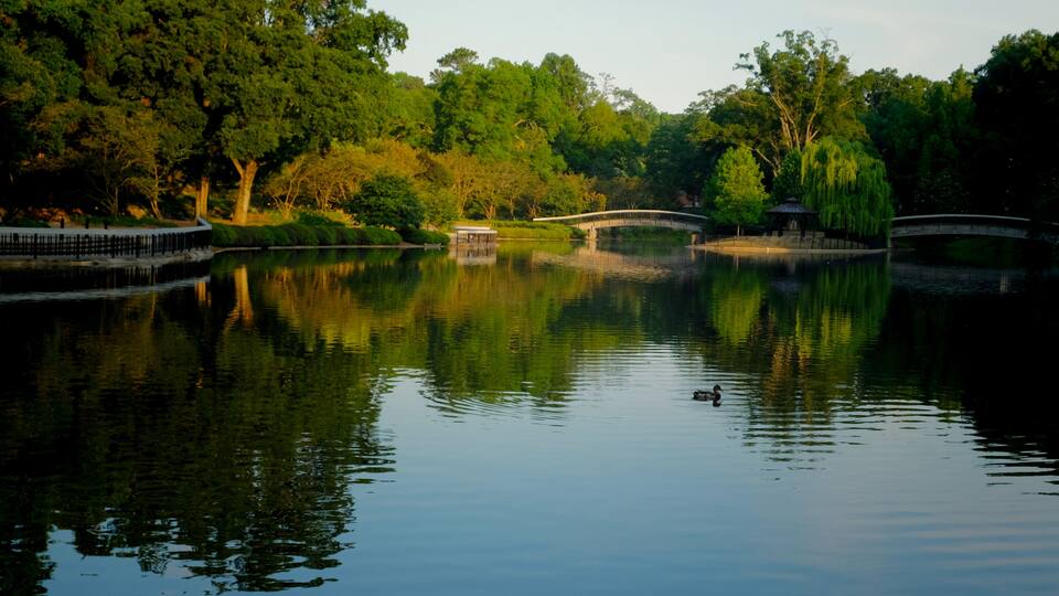 The lake at Pullen Park in downtown Raleigh North Carolina in the early morning sunshine
