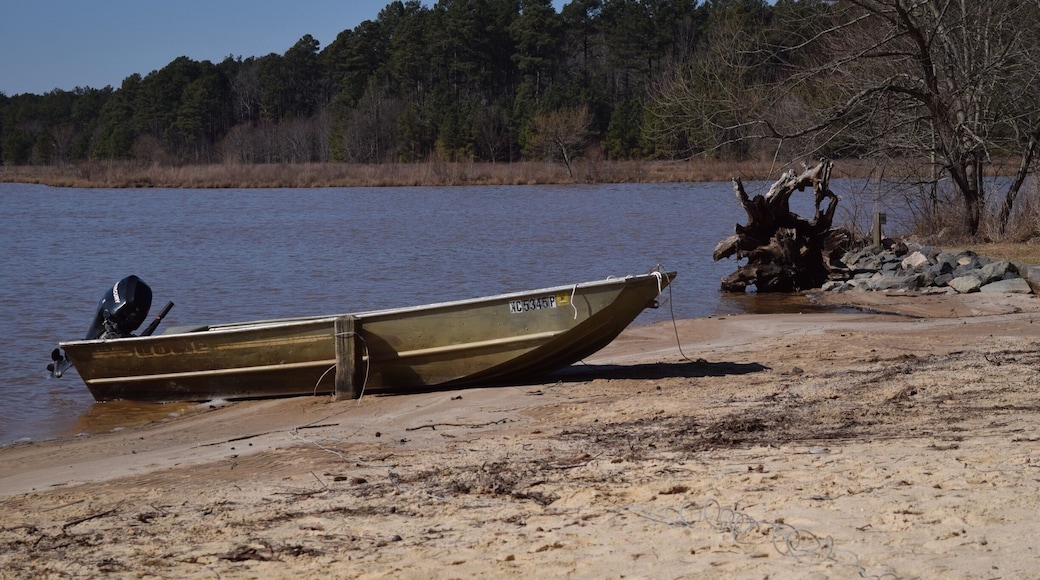 Lake Crabtree is always the first to flood with heavy rains. But if it's dry, there are some nice trails to meander. It's right near RTP so you'll see a lot of folks eating there on their lunch break!