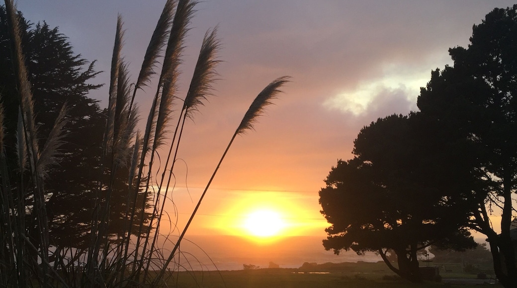 If the fog hasn't rolled
In and the clouds let it creep through you can always catch a wonderful sunset right here in the beautiful northern coast of California!!