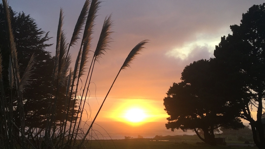 If the fog hasn't rolled
In and the clouds let it creep through you can always catch a wonderful sunset right here in the beautiful northern coast of California!!