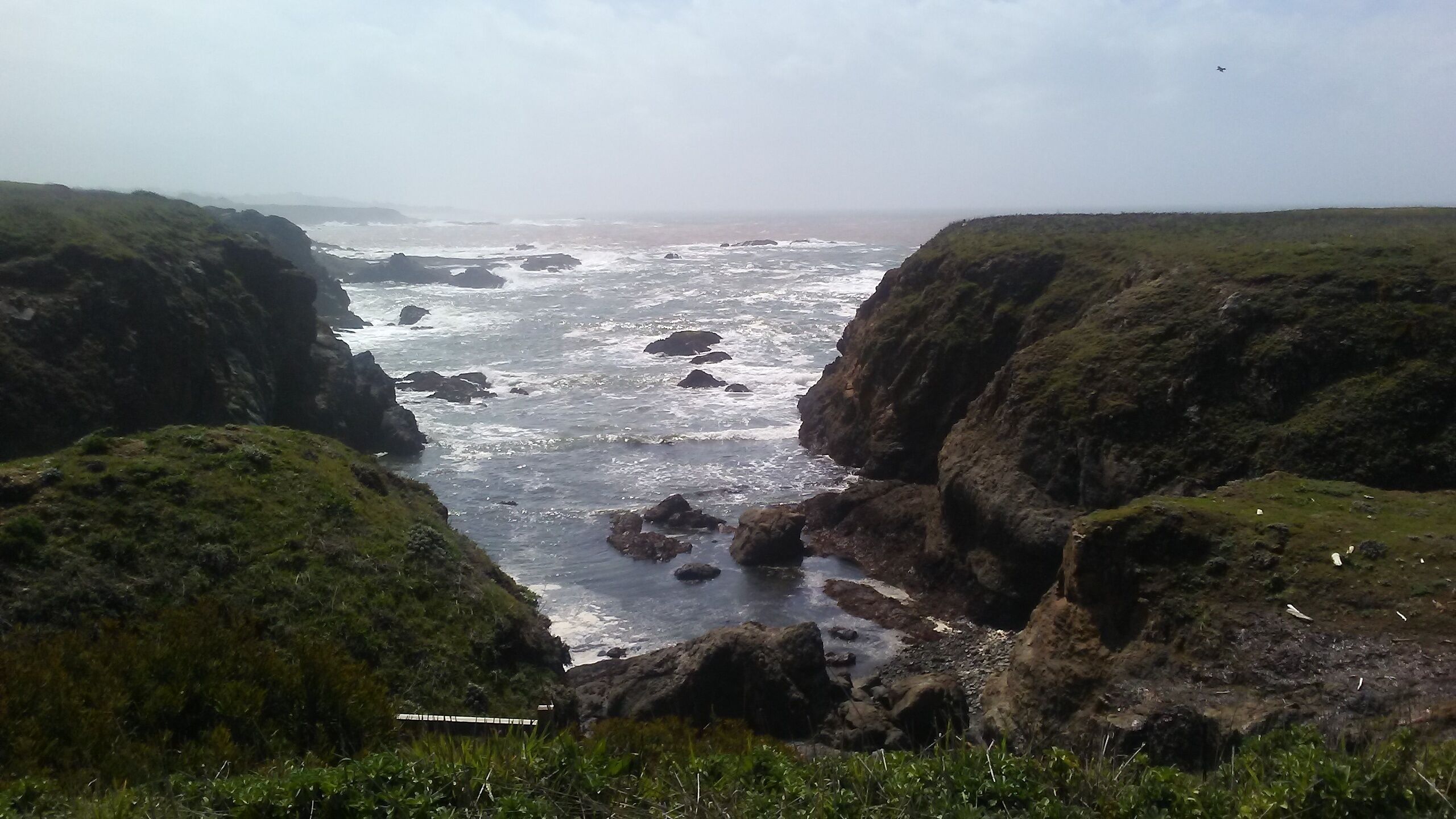 Visit Fort Bragg: Best of Fort Bragg Tourism | Expedia Travel Guide