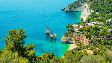 Eine Küstenlandschaft mit klarem türkisblauem Wasser, Felsen und einem Strand mit Gebäuden und viel Grün.
