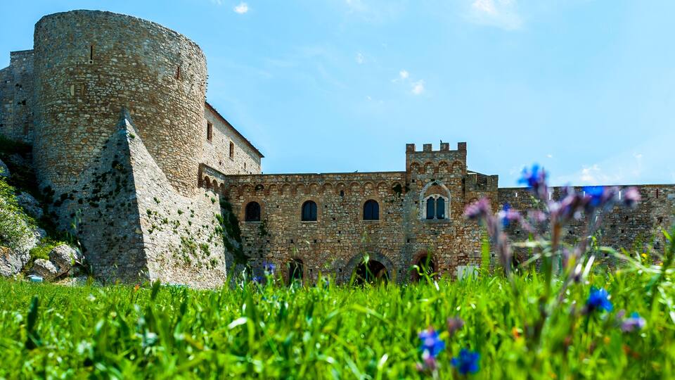 A medieval stone castle with a round tower and arched windows, surrounded by lush green grass and wildflowers.