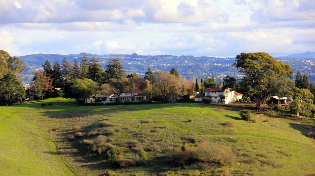 From Chabot Regional Park