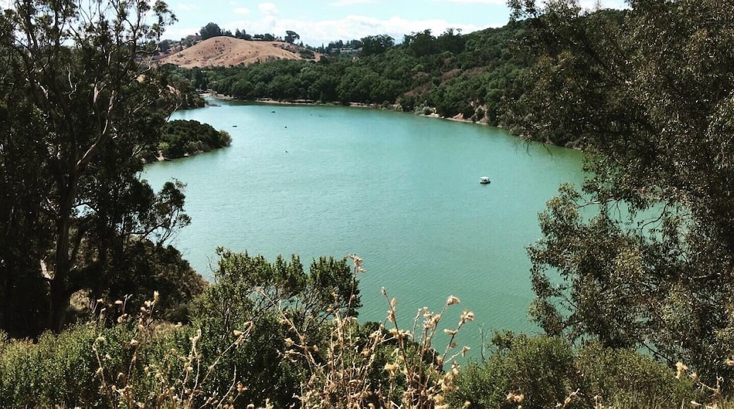 View of Chabot lake