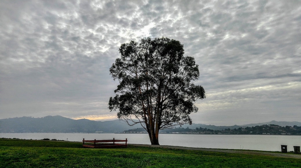 Great walk in the park, great scenery & very quiet and serene