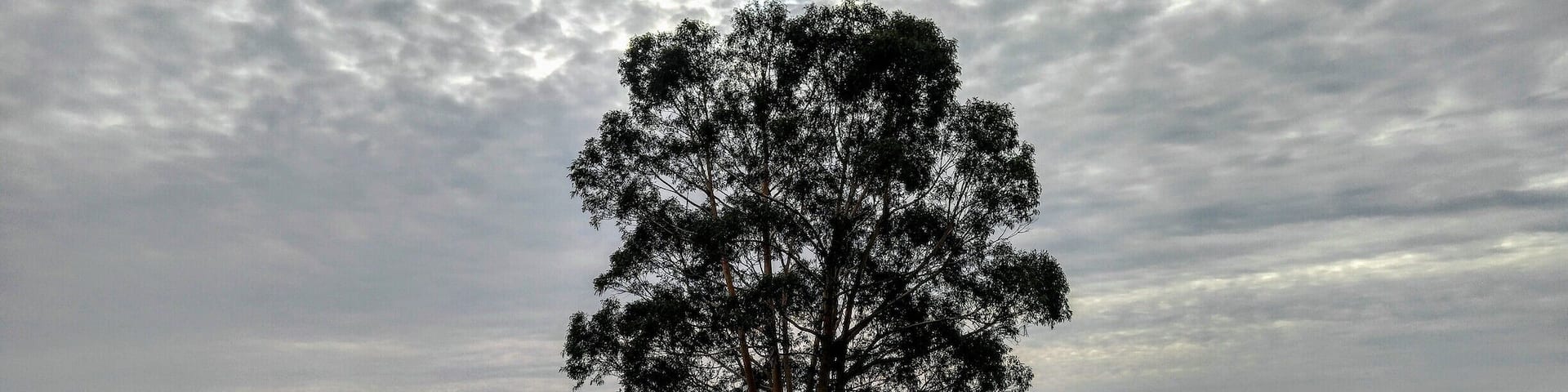 Great walk in the park, great scenery & very quiet and serene