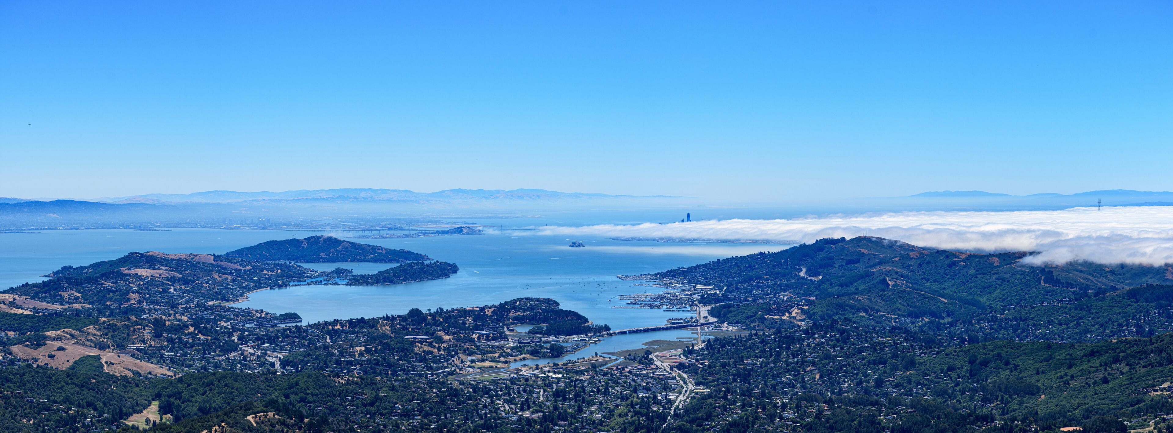 A coastal city with a bay, mountains, and a bridge.