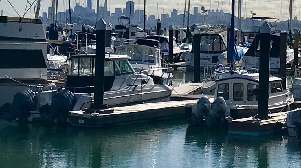 Boat Harbor with San Francisco in the distance