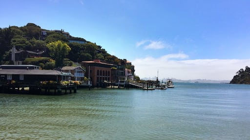 Tiburon is a charming village just over the Golden Gate Bridge from San Francisco. There are great views of the city over the bay.