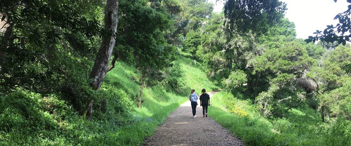 Beautiful scenery & amazing hike. Plenty of shade which is always a plus and there’s a little cafe down below if one gets a bit hangry. #LikeALocal