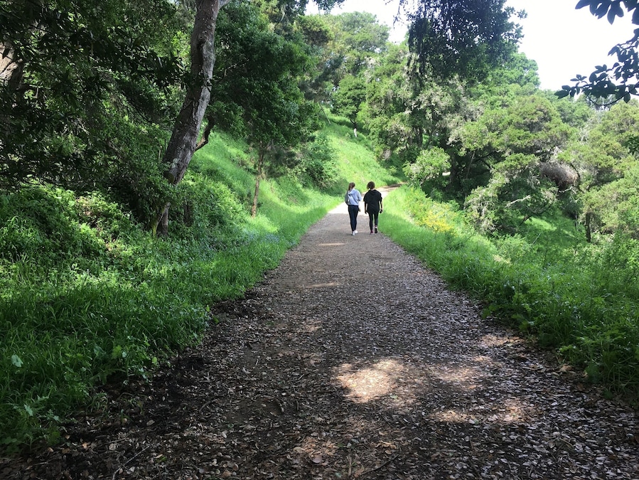 Beautiful scenery & amazing hike. Plenty of shade which is always a plus and there’s a little cafe down below if one gets a bit hangry. #LikeALocal