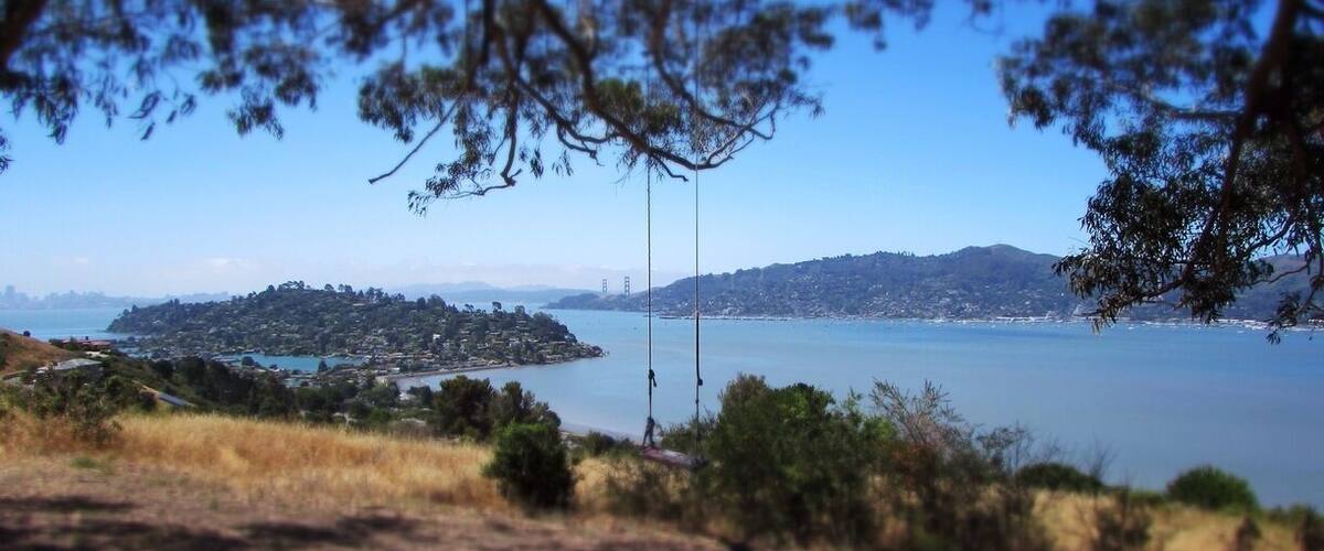 Great view of the Bay!