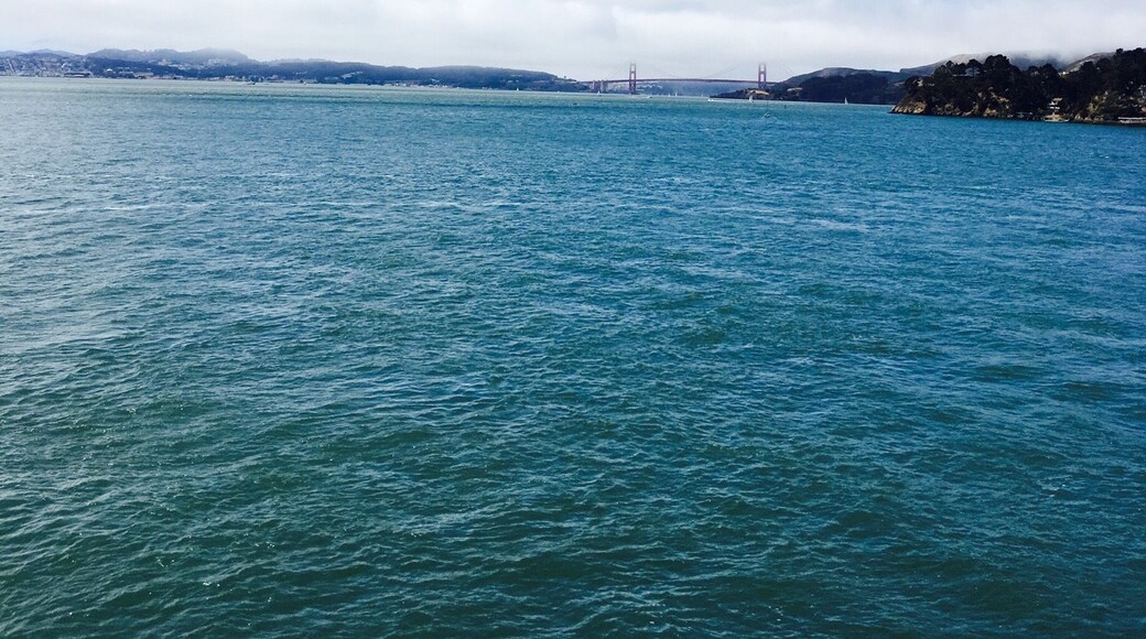 Golden Gate Bridge. Just around the bend from where I lay.