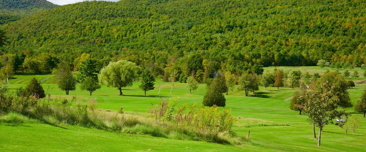 Ticonderoga featuring tranquil scenes