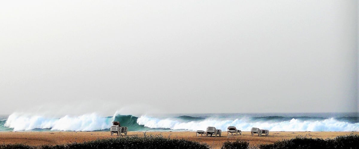 Watching water move is a time-honoured way of moving into the present moment, says the painter Fredericka Foster,