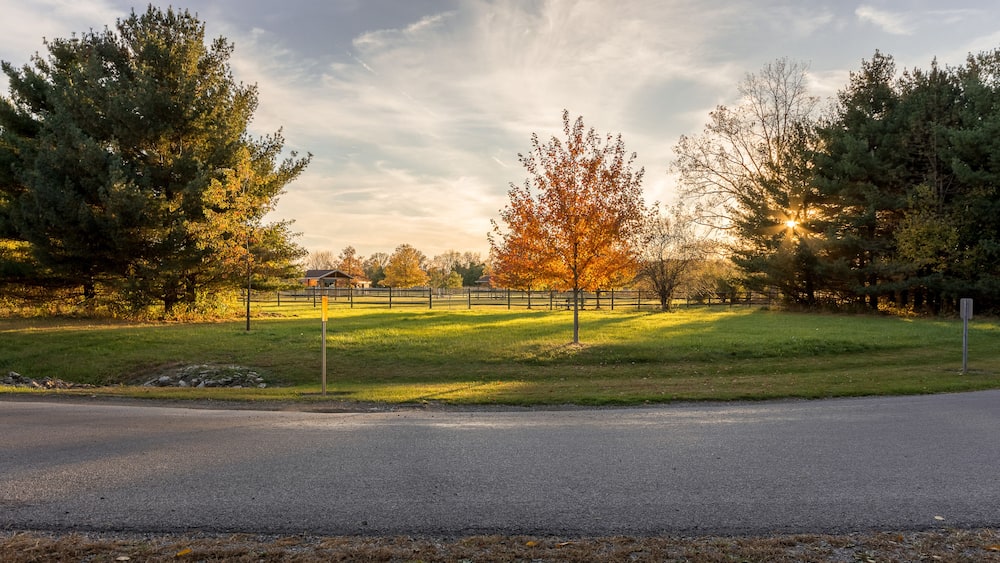 Un parc avec un chemin pavé, des arbres et une clÎture.
