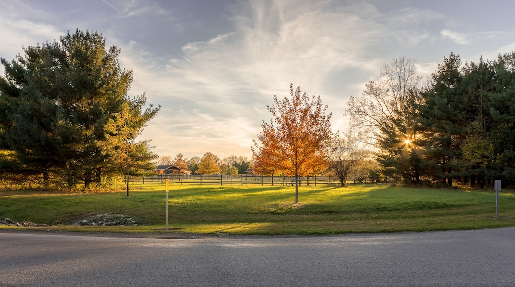 A park with a paved path, trees, and a fence.