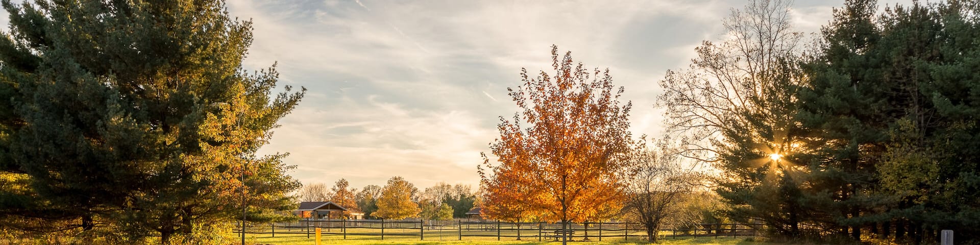 A park with a paved path, trees, and a fence.