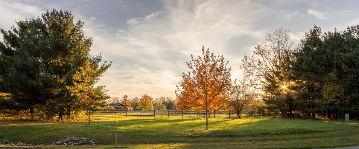 A park with a paved path, trees, and a fence.