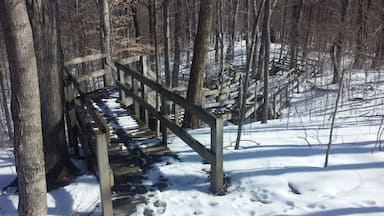The boardwalk descending from the trail head down towards the Sandusky River.
