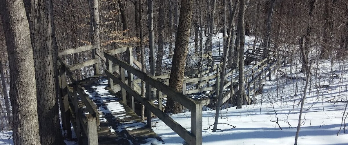 The boardwalk descending from the trail head down towards the Sandusky River.