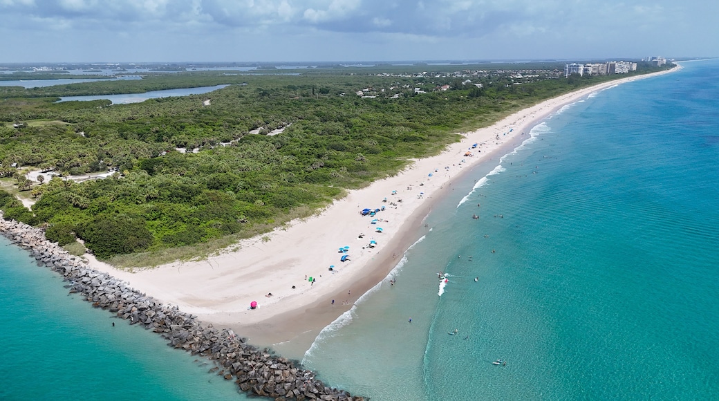 Tourists and locals enjoying a beach day at Fort Pierce Inlet State Park on the Treasure Coast of Florida in St. Lucie County