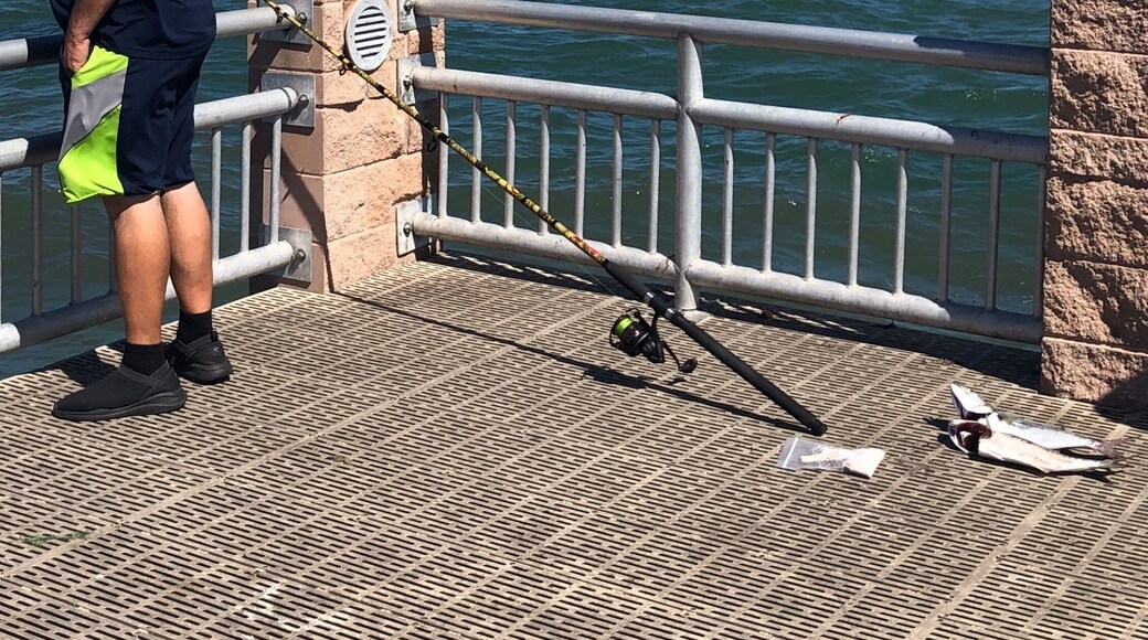 On the pier in Ft. Pierce and all these fishermen just hanging and catching. #great Outdoors #waterlust