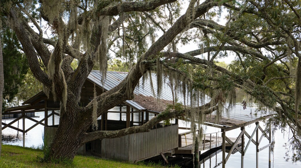 Steinhatchee is a Gulf coastal community in the southern part of Taylor County, Florida, United States.