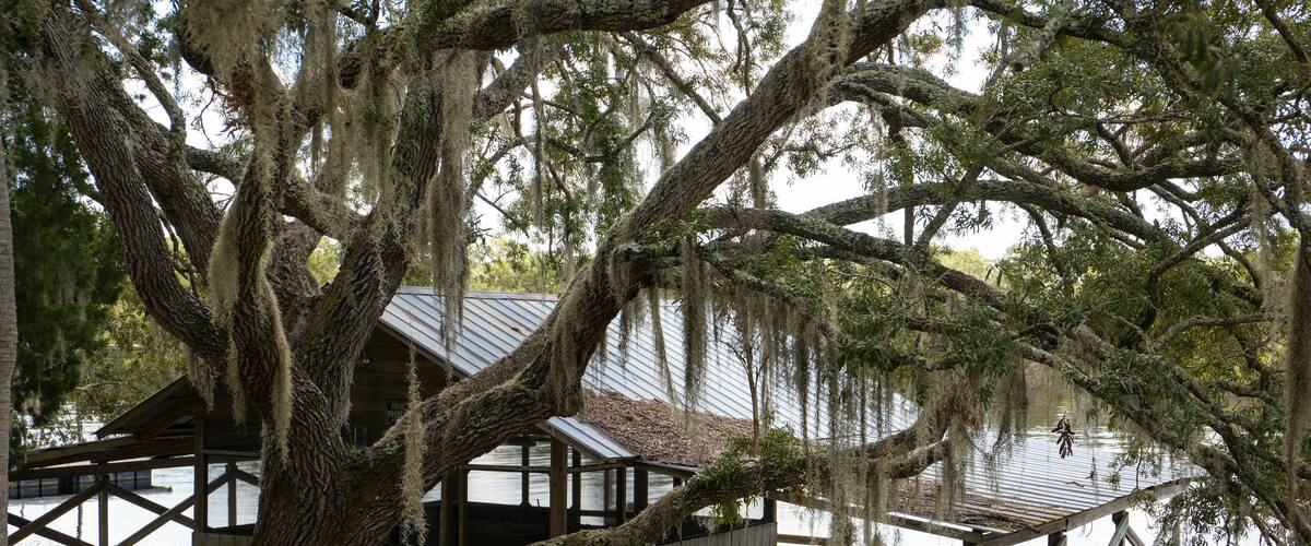 Steinhatchee is a Gulf coastal community in the southern part of Taylor County, Florida, United States.