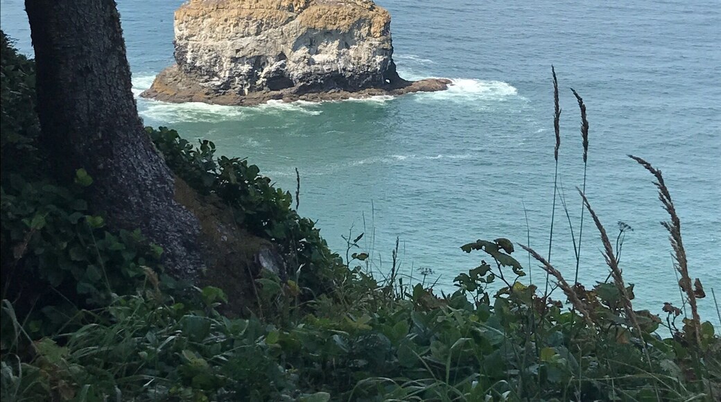 This was such a beautiful spot with so many photo ops. Taken with my cell phone.