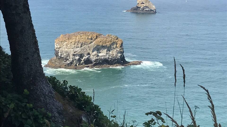 A coastal landscape with rocky formations and greenery.