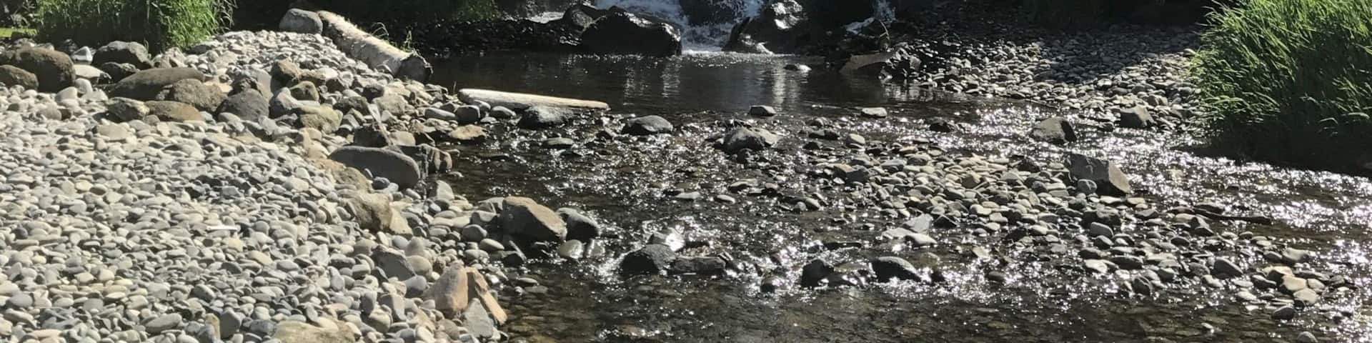 Unnamed waterfall at Short Beach