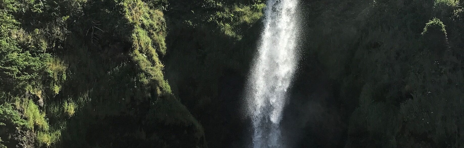 Unnamed waterfall at Short Beach