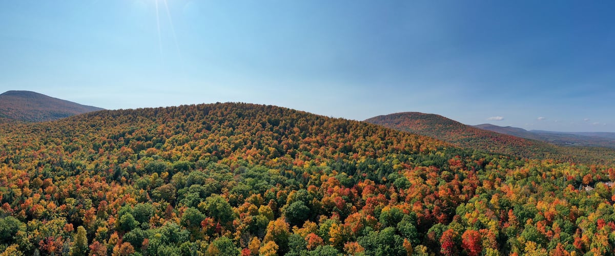 A forested mountain range with autumn foliage.