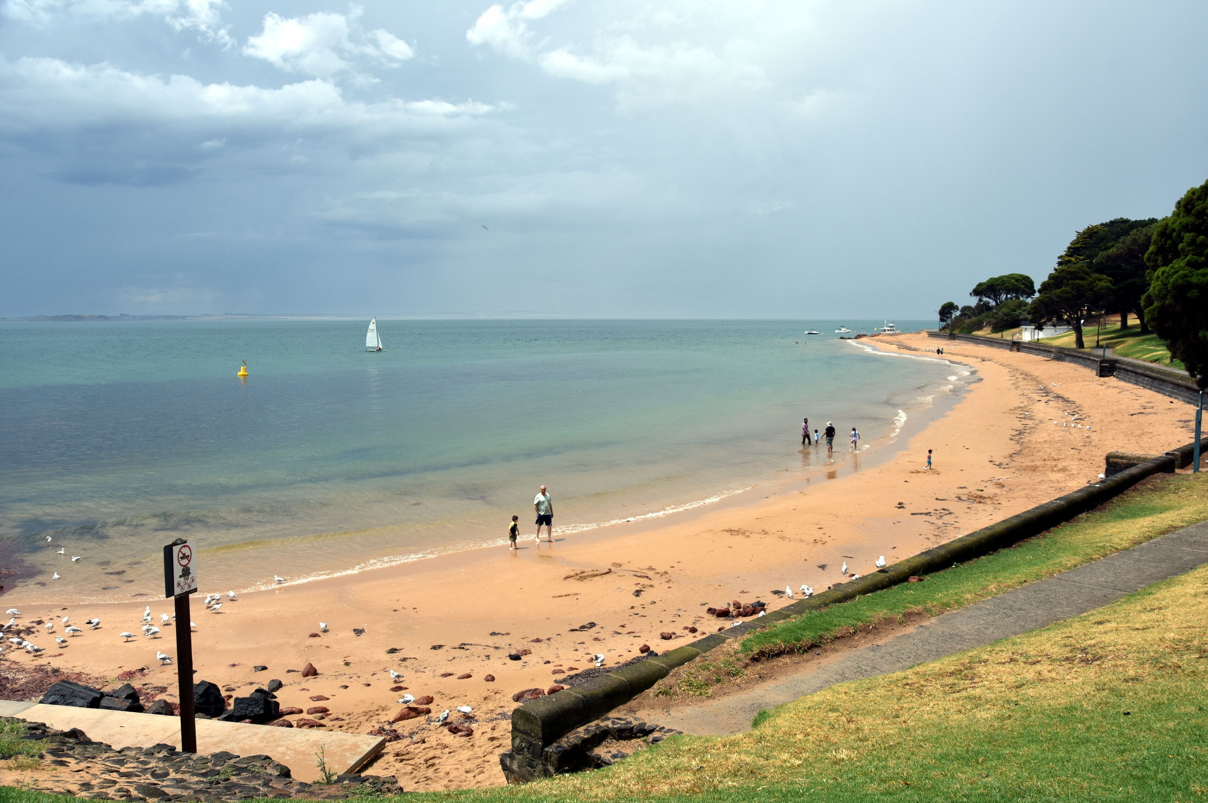 A beach with a sandy shore, a sailboat, and a grassy area with trees.