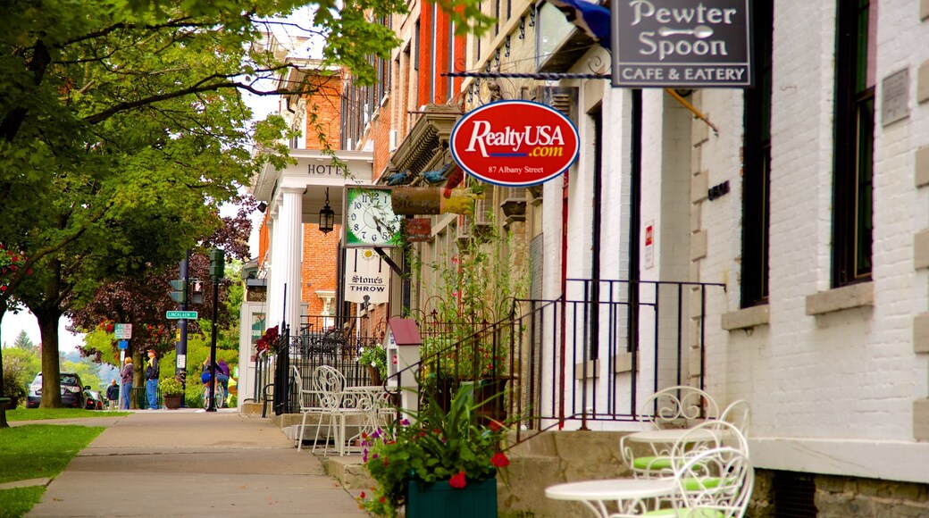 Cazenovia showing cbd