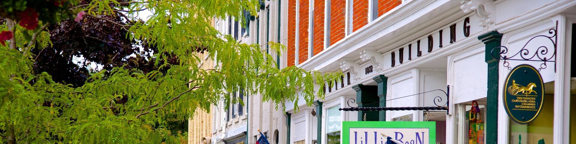 A tree-lined street with shops, including a building with a sign reading "Lillie Roan".