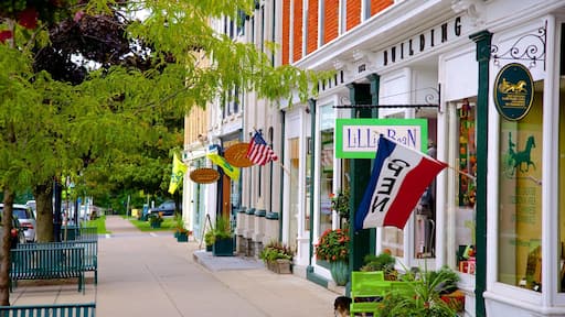 Cazenovia mostrando vistas de la ciudad