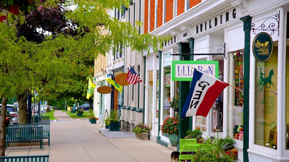 A tree-lined street with shops, including a building with a sign reading "Lillie Roan".