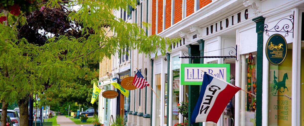 A tree-lined street with shops, including a building with a sign reading "Lillie Roan".