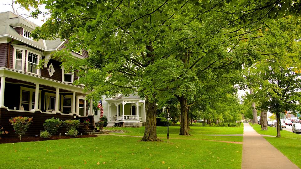A suburban street lined with historic houses, a large tree, and a sidewalk.