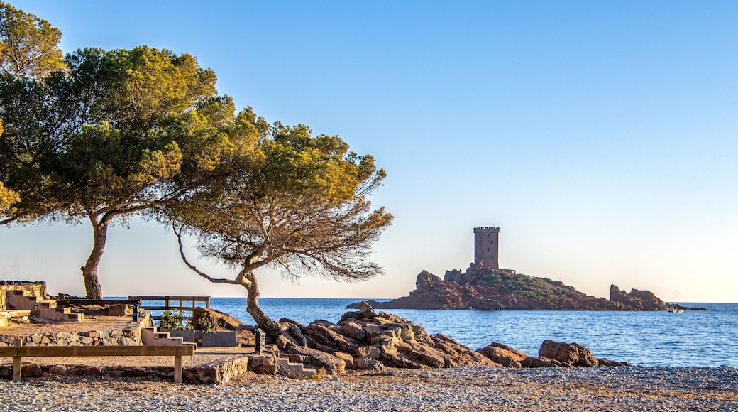 Fréjus
