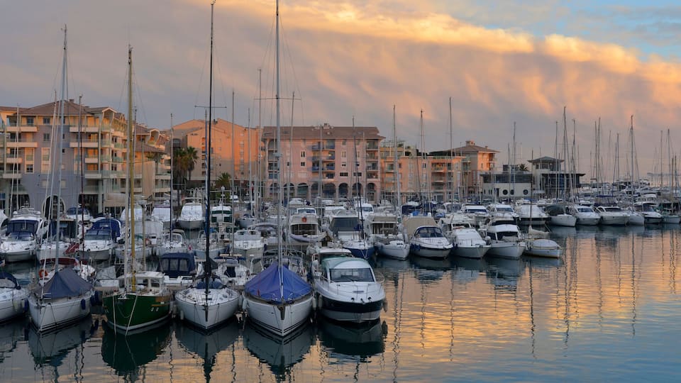 A marina filled with boats, surrounded by buildings and palm trees under a sunset sky.
