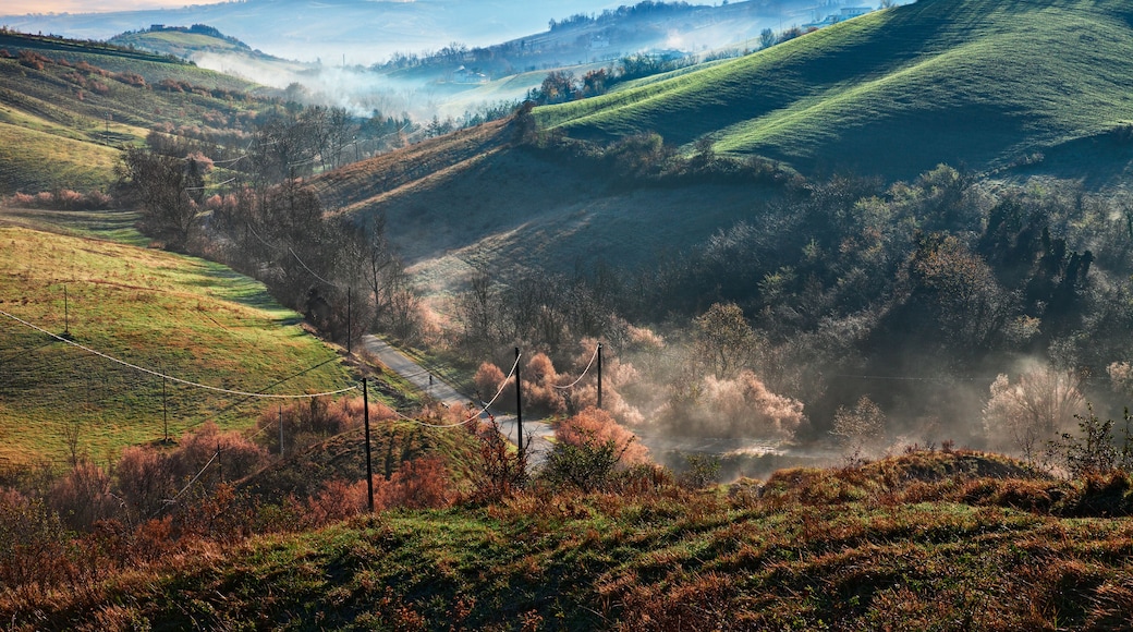 Castrocaro Terme e Terra del Sole, Forli-Cesena, Emilia Romagna, Italy: landscape at sunrise of the picturesque hills with fog in the valley; Shutterstock ID 1300469776; Purchase Order: -