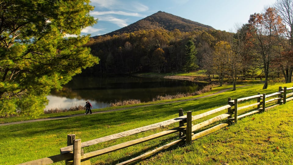 Evening walk along Abbott Lake; Virginia
