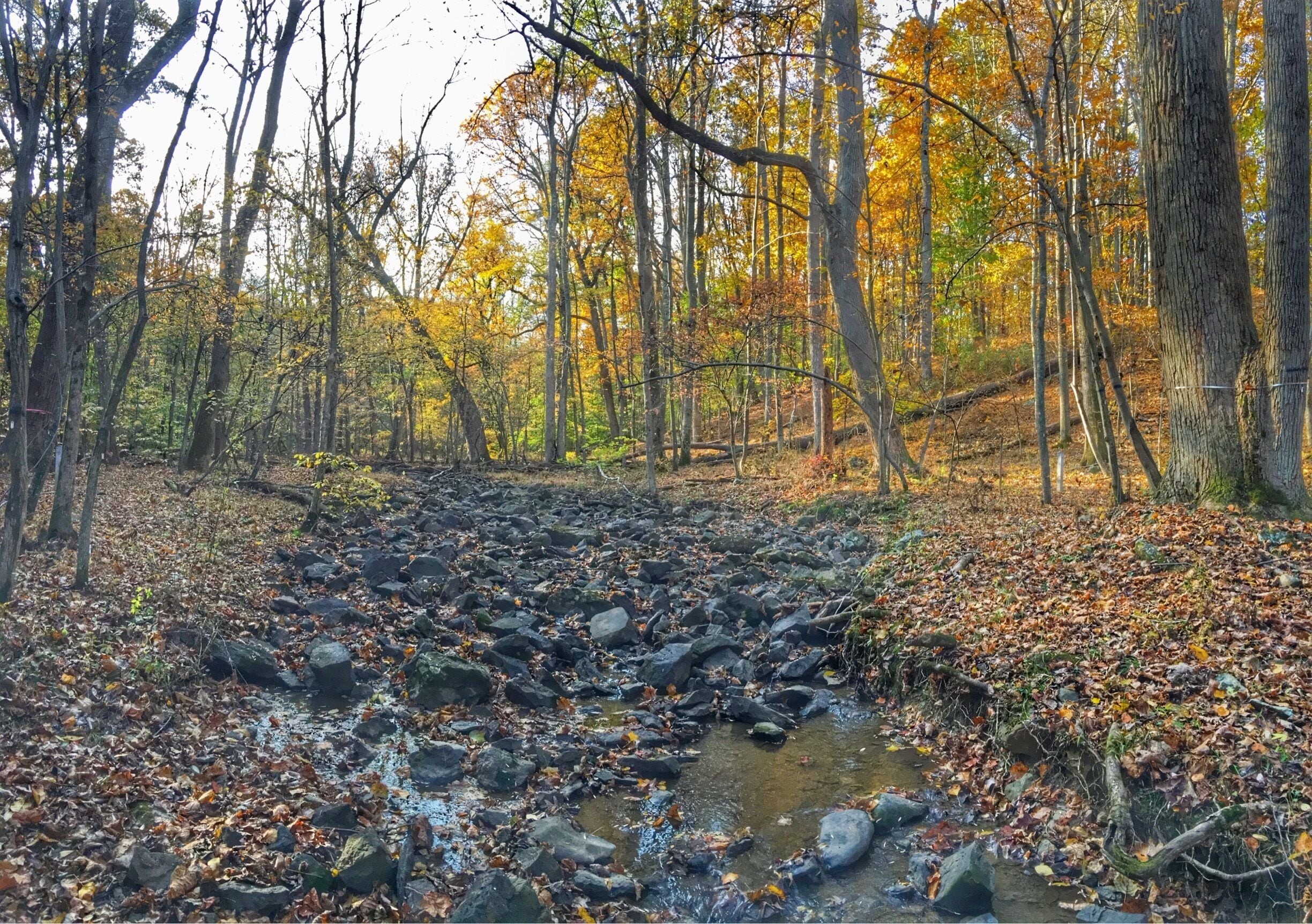 A research center that helps breed endangered animals. They also have other areas of study. This is a picture close to where we have some aquatic sensors set up to study and monitor the creek. 