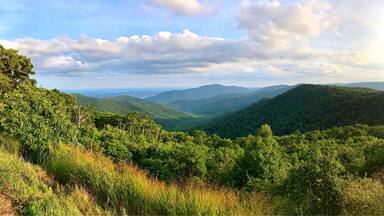 Spectacular views along Skyline Drive... There are views for the city and the valleys. Absolutely breathtaking, this area is filled with Hiking trails with Waterfalls, horse back riding and cabins to stay in as well as campgrounds. Enjoy